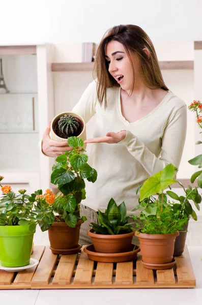 Jonge vrouwelijke tuinman met planten binnen — Stockfoto