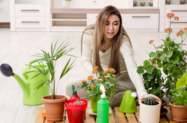 Giovane giardiniere femminile con piante al chiuso — Foto Stock