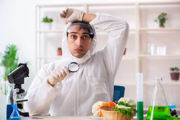 Scienziato che lavora in laboratorio sugli OGM frutta e verdura — Foto Stock