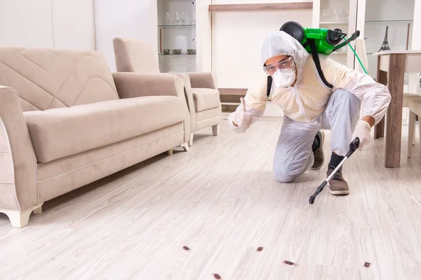 Ongediertebestrijding aannemer werkzaam in de flat — Stockfoto