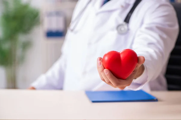 Male doctor cardiologist holding heart model — Stock Photo, Image