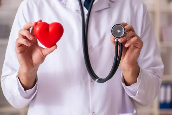 Férfi orvos kardiológus gazdaság szív modell — Stock Fotó