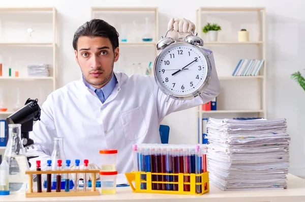 Joven químico masculino trabajando en el laboratorio — Foto de Stock