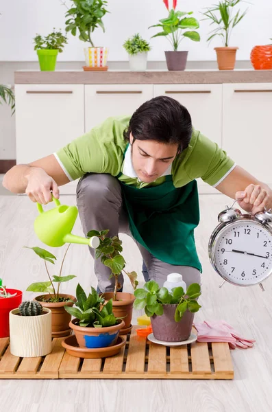 Jeune jardinier masculin avec des plantes à l'intérieur — Photo