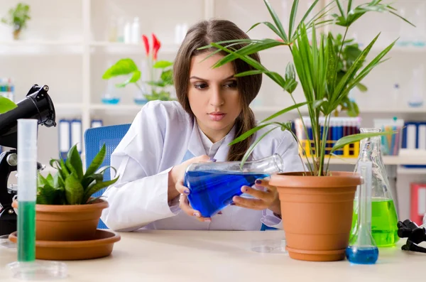 Młoda piękna chemiczka biotechnologiczna pracująca w laboratorium — Zdjęcie stockowe