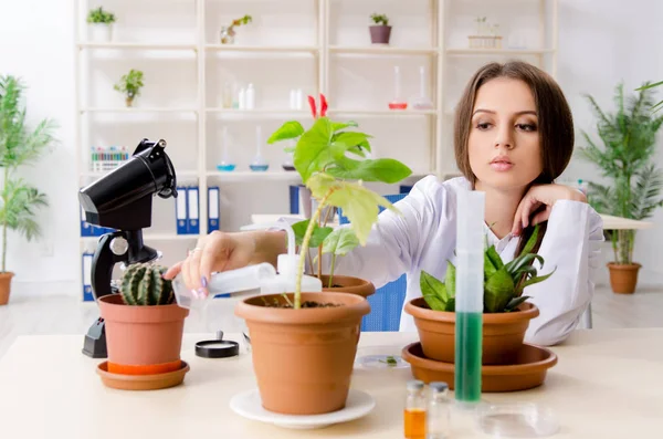 Giovane bella biotecnologia chimico che lavora in laboratorio — Foto Stock