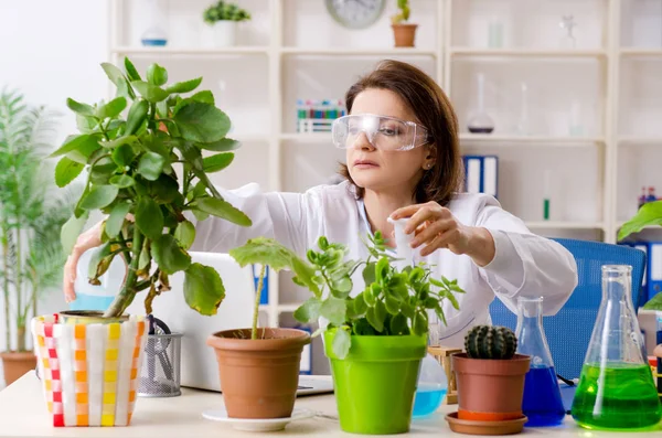 Mulher velha biotecnologia química que trabalha no laboratório — Fotografia de Stock