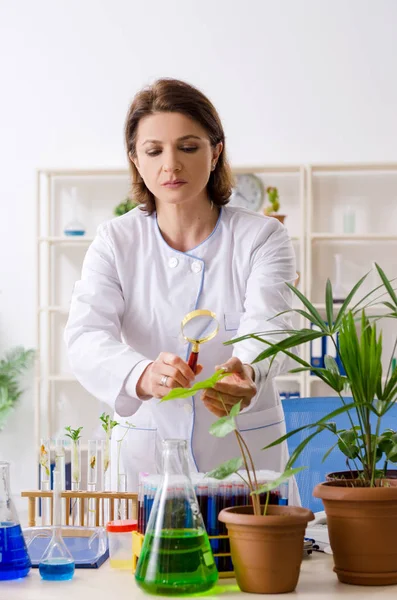 Vecchia chimica biotecnologica femminile che lavora in laboratorio — Foto Stock