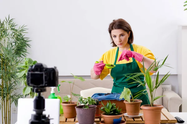 Θηλυκό blogger εξηγώντας houseplants καλλιέργεια — Φωτογραφία Αρχείου