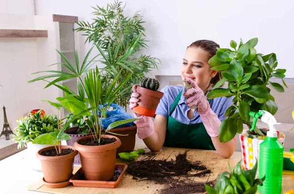 Jonge vrouwelijke tuinman met planten binnen — Stockfoto