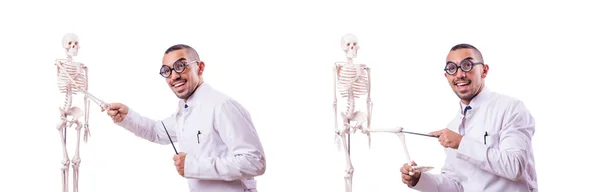 İskeleti beyaz olan komik doktor. — Stok fotoğraf