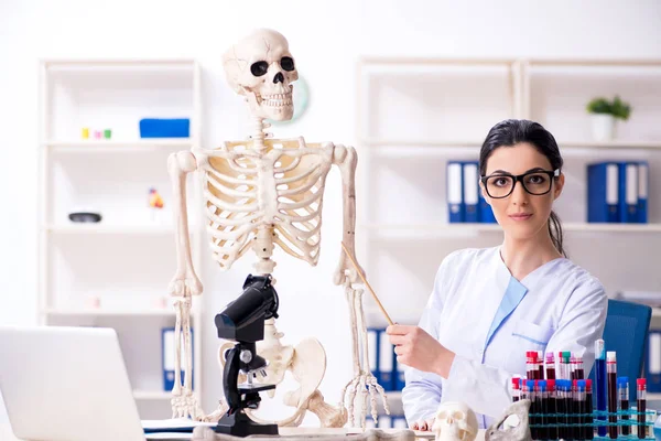 Young female archaeologist working in the lab — Stock Photo, Image