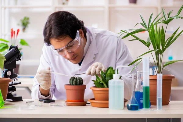 Chimiste en biotechnologie travaillant en laboratoire — Photo