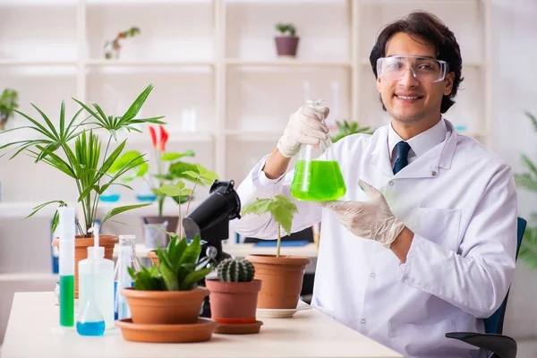 Químico biotecnológico trabajando en laboratorio —  Fotos de Stock