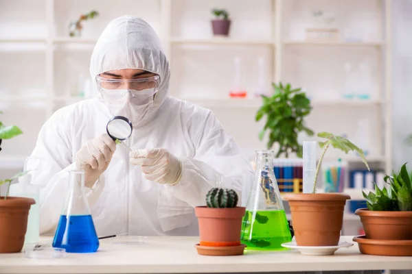 Químico de biotecnologia trabalhando em laboratório — Fotografia de Stock