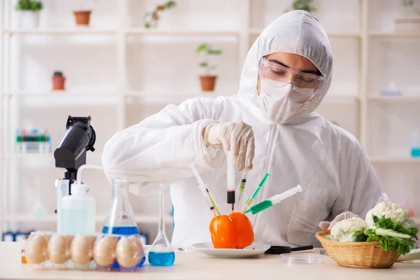 Wetenschapper in lab over GGO-groenten en -fruit — Stockfoto