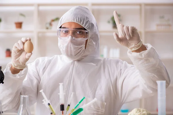 Ученый, работающий в лаборатории по ГМО фрукты и овощи — стоковое фото