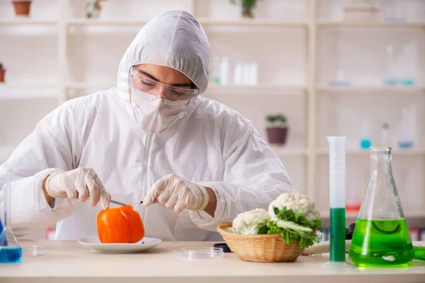 Científico trabajando en laboratorio sobre frutas y verduras transgénicas —  Fotos de Stock