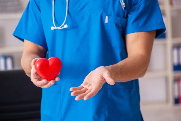 Male doctor cardiologist holding heart model — Stock Photo, Image
