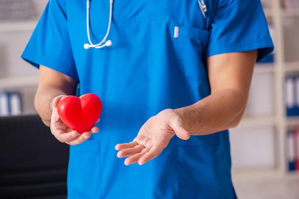 Medico cardiologo maschio con modello cardiaco in mano — Foto Stock