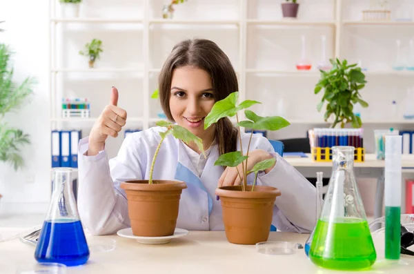 Jovem e bela biotecnologia química trabalhando no laboratório — Fotografia de Stock