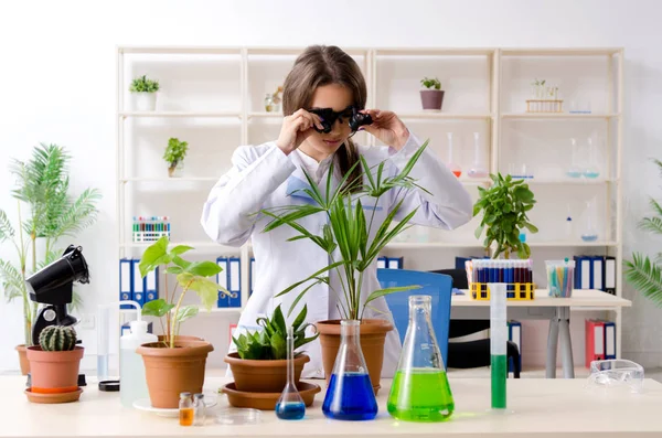 Giovane bella biotecnologia chimico che lavora in laboratorio — Foto Stock