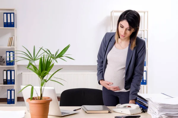 Νεαρή έγκυος υπάλληλος που εργάζεται στο γραφείο — Φωτογραφία Αρχείου