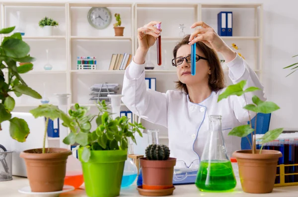 Vecchia chimica biotecnologica femminile che lavora in laboratorio — Foto Stock