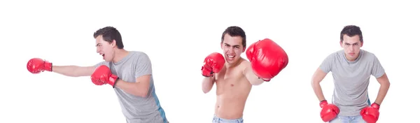 Funny boxer isolated on the white background — Stock Photo, Image