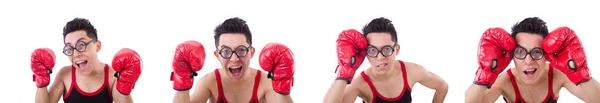 Lustige Boxer isoliert auf weißem Hintergrund — Stockfoto