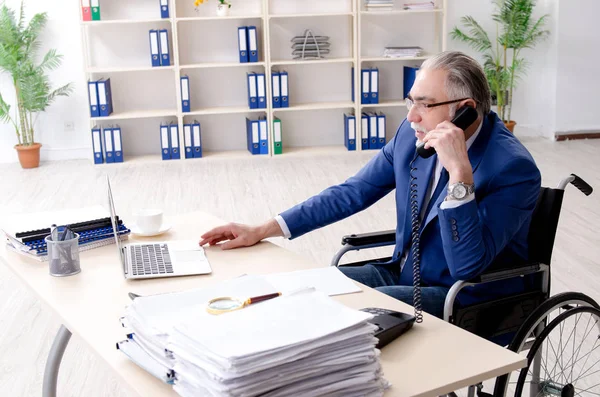 Leeftijd werknemer in rolstoel werken in het kantoor — Stockfoto