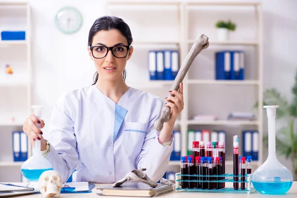 Young female archaeologist working in the lab — Stock Photo, Image