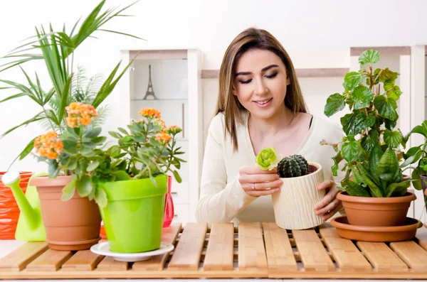 Jonge vrouwelijke tuinman met planten binnen — Stockfoto