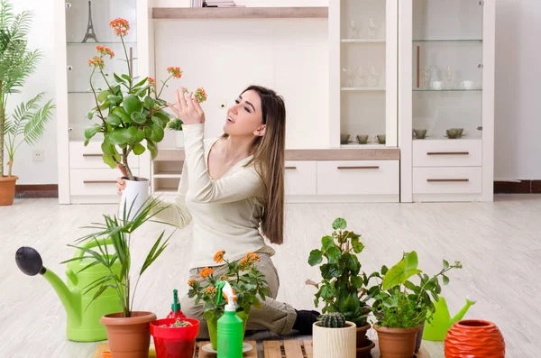 Joven jardinero femenino con plantas en el interior —  Fotos de Stock