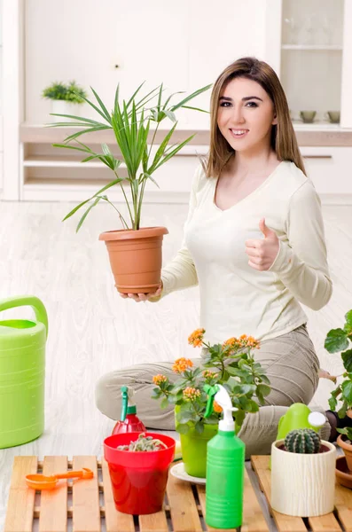 Jovem jardineiro feminino com plantas dentro de casa — Fotografia de Stock