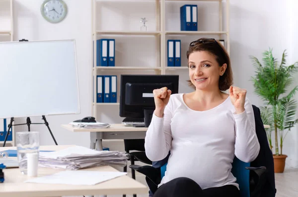 Ervaren vrouwelijke werknemer werkzaam in het kantoor — Stockfoto