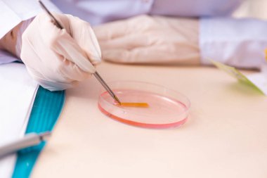 Laboratuvarda çalışan genç bir kadın kimyager. 