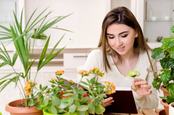 Jonge vrouwelijke tuinman met planten binnen — Stockfoto