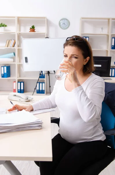 事務所で働く妊婦さん — ストック写真