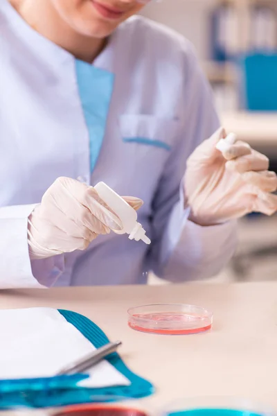 Química joven trabajando en el laboratorio — Foto de Stock