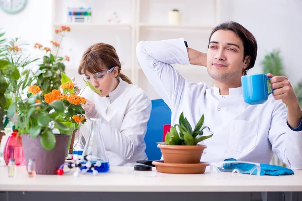 Dos jóvenes botánicos trabajando en el laboratorio — Foto de Stock
