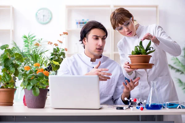 Dos jóvenes botánicos trabajando en el laboratorio — Foto de Stock