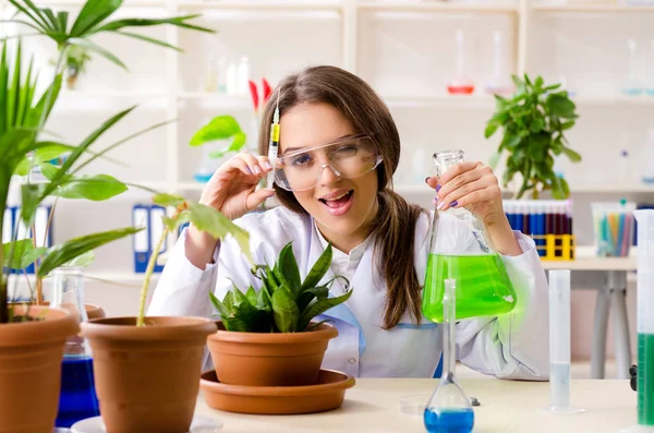 Joven química biotecnológica hermosa trabajando en el laboratorio — Foto de Stock