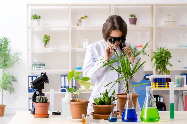 Giovane bella biotecnologia chimico che lavora in laboratorio — Foto Stock