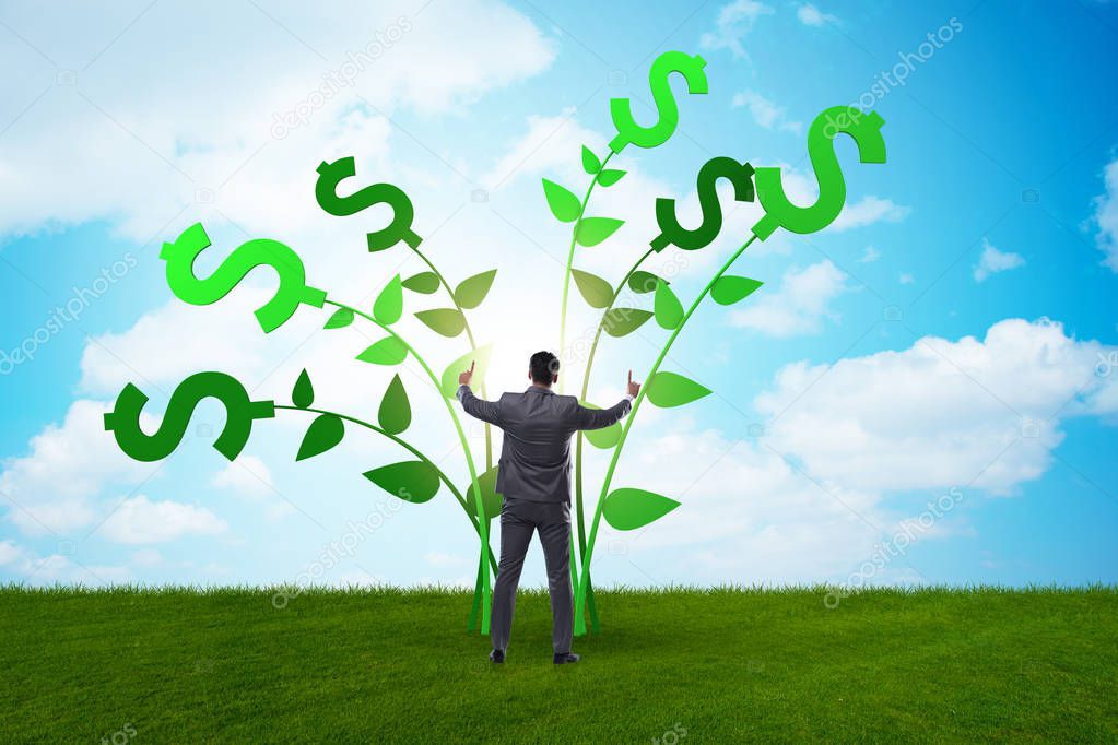 Money tree concept with businessman in growing profits 