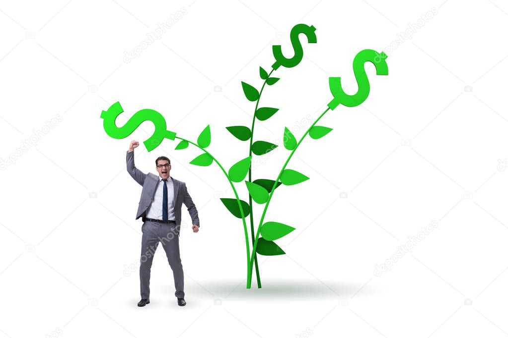 Money tree concept with businessman in growing profits 