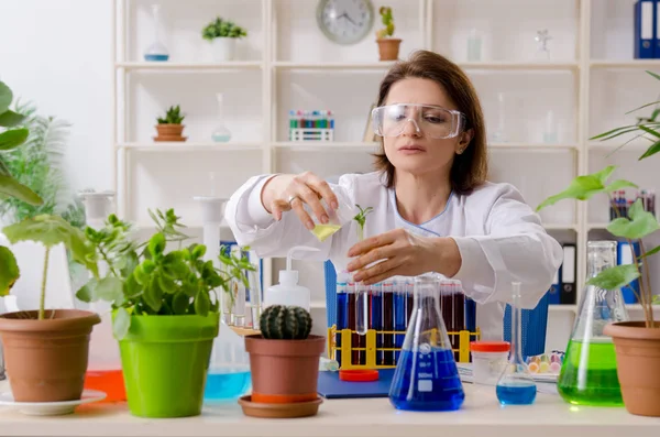 Anciana química biotecnológica que trabaja en el laboratorio — Foto de Stock