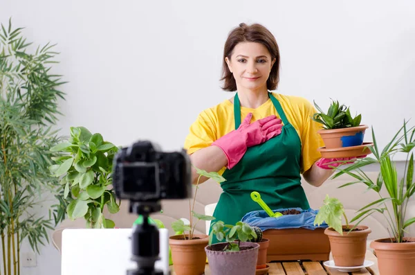 Θηλυκό blogger εξηγώντας houseplants καλλιέργεια — Φωτογραφία Αρχείου