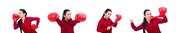 Kvinna boxare isolerad på den vita — Stockfoto