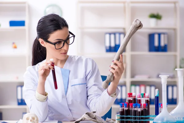 Young female archaeologist working in the lab — Stock Photo, Image